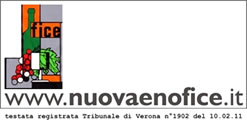 Fice_logo